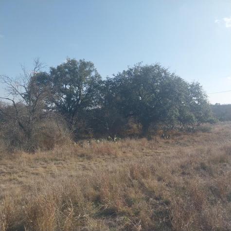 Llano TX 78643