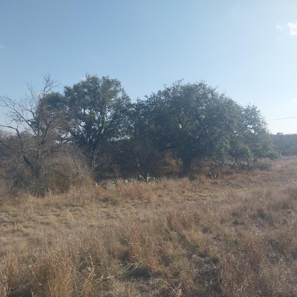 Llano TX 78643