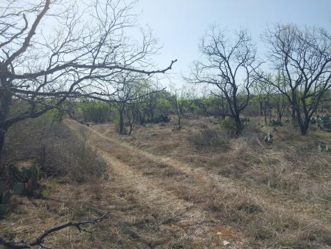 Llano TX 78643
