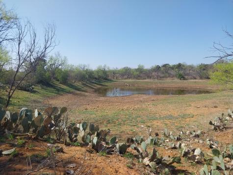 Llano TX 78643