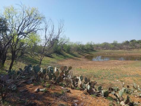 Llano TX 78643