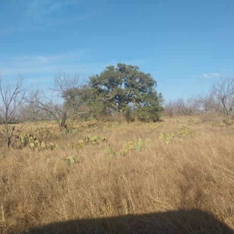 Llano TX 78643