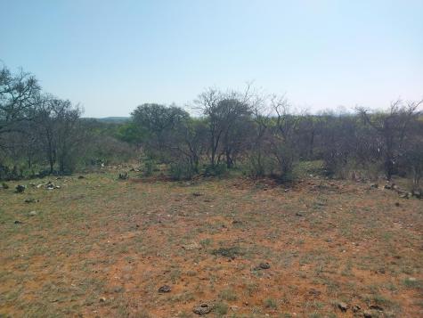 Llano TX 78643