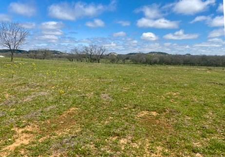 601 Upper Liveoak Road Fredericksburg TX 78624