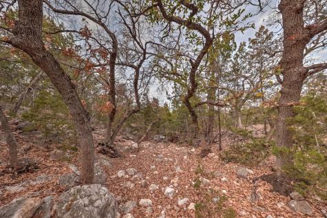 438-2 Yellowstone Lane Hunt TX 78024