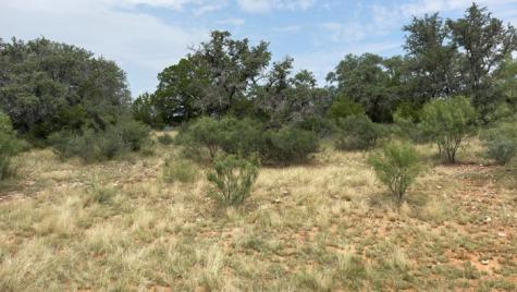 159 Mormon Creek Road Doss TX 78618