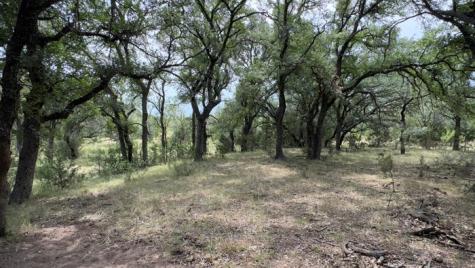 159 Mormon Creek Road Doss TX 78618