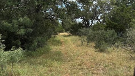 159 Mormon Creek Road Doss TX 78618