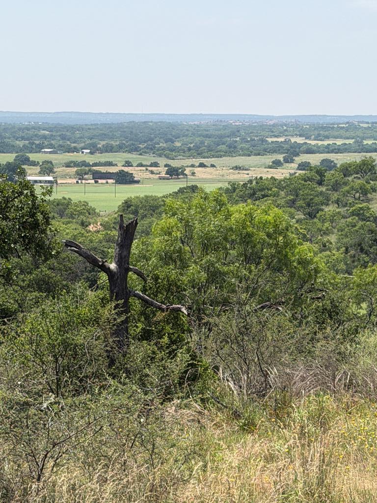 000 Little Willow Creek Road Mason TX 76856