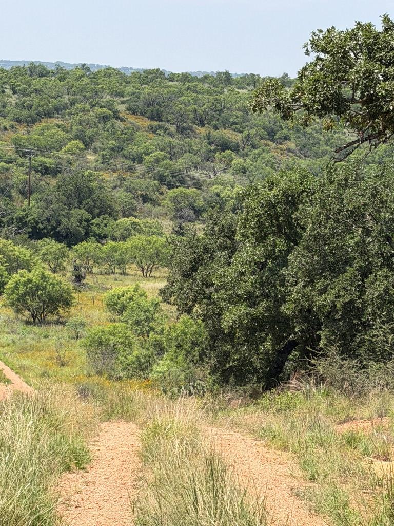 000 Little Willow Creek Road Mason TX 76856