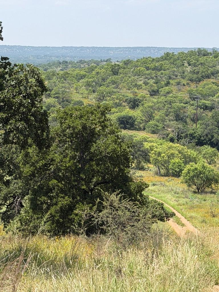 000 Little Willow Creek Road Mason TX 76856