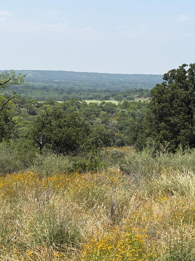 000 Little Willow Creek Road Mason TX 76856