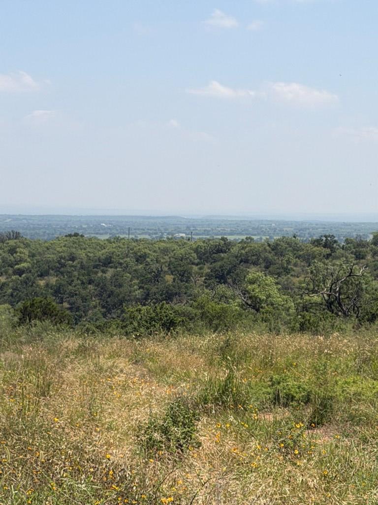 000 Little Willow Creek Road Mason TX 76856