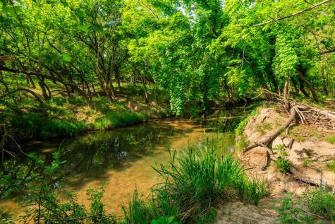 199 Lexington Drive Fredericksburg TX 78624