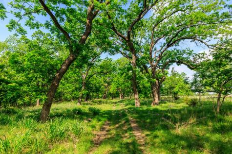 199 Lexington Drive Fredericksburg TX 78624