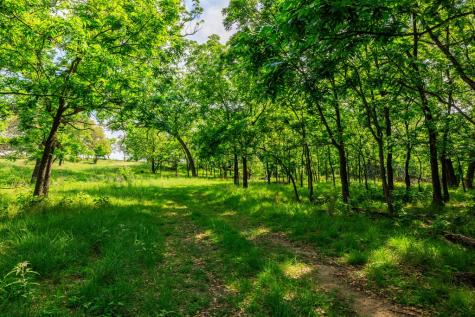 199 Lexington Drive Fredericksburg TX 78624