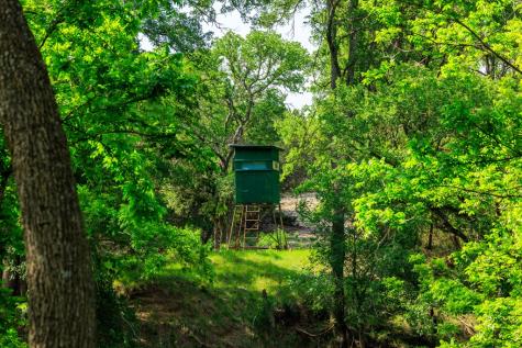 199 Lexington Drive Fredericksburg TX 78624