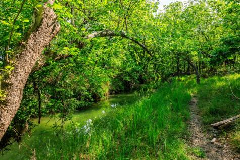 199 Lexington Drive Fredericksburg TX 78624