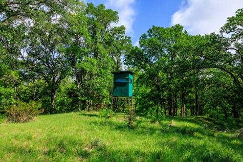 199 Lexington Drive Fredericksburg TX 78624