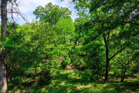 199 Lexington Drive Fredericksburg TX 78624
