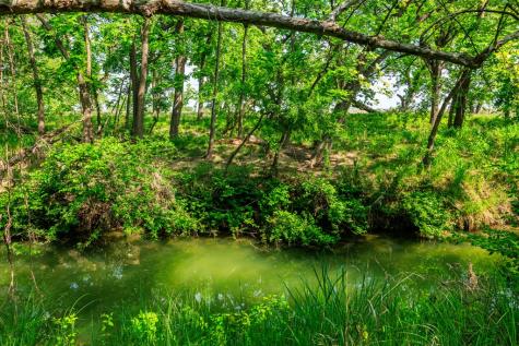 199 Lexington Drive Fredericksburg TX 78624