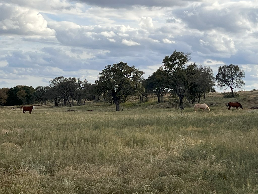 300 Private Road 626 Voca TX 76887