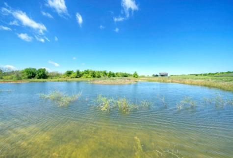 4201 County Road 463 Elgin TX 78621