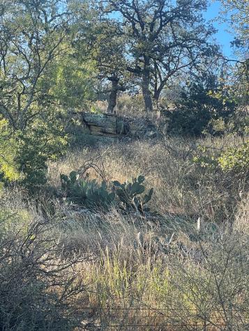 1 Little Willow Creek Road Mason TX 76856