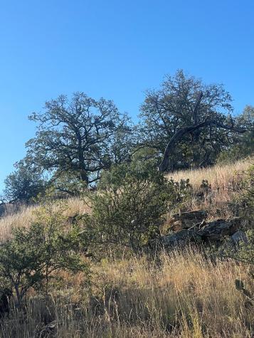 1 Little Willow Creek Road Mason TX 76856