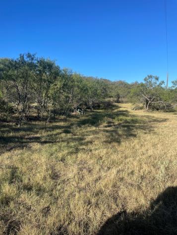 1 Little Willow Creek Road Mason TX 76856
