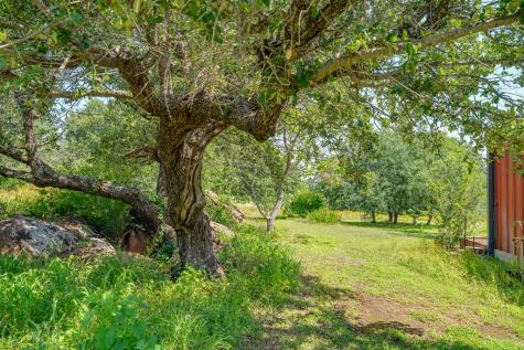 00 S Highway 87 Mason TX 76856