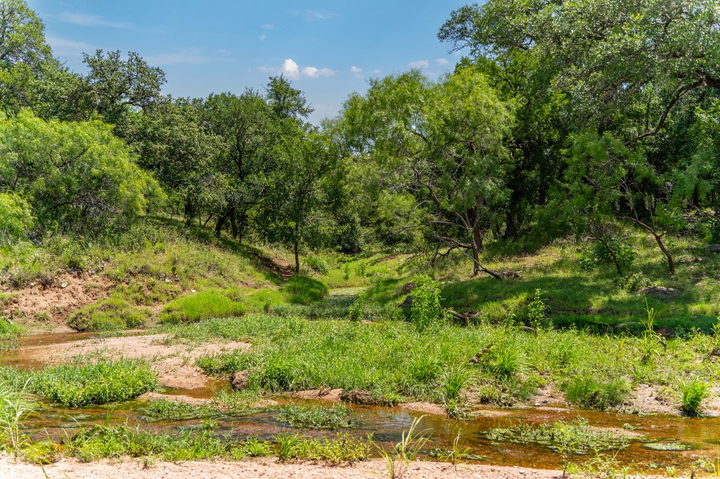 00 S Highway 87 Mason TX 76856