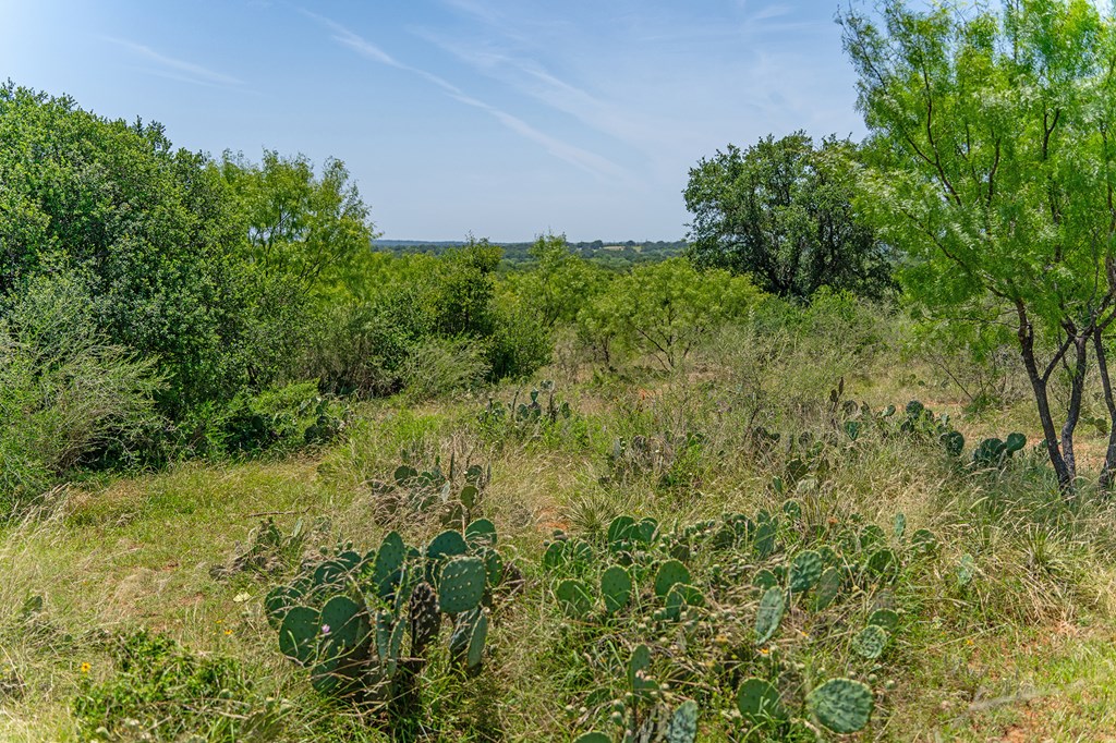 00 S Highway 87 Mason TX 76856