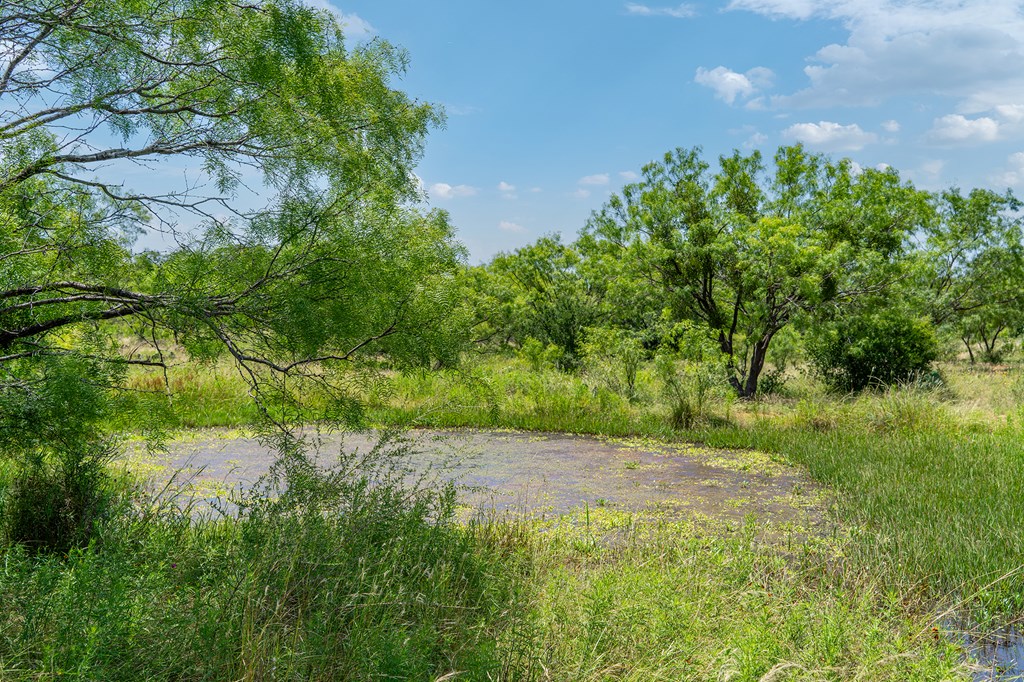 00 S Highway 87 Mason TX 76856