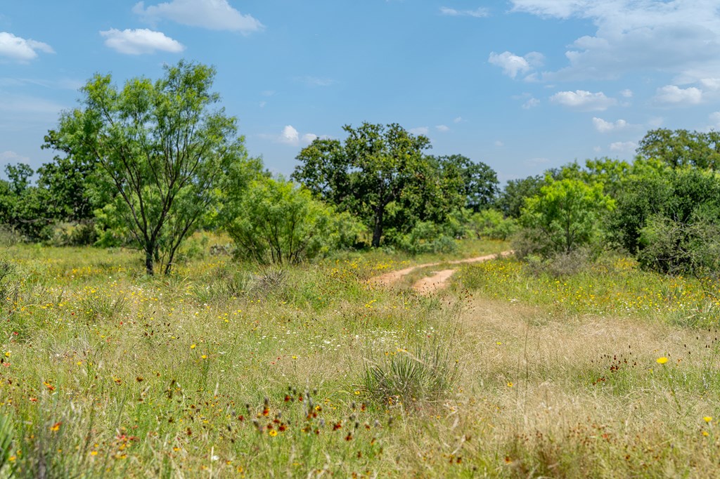 00 S Highway 87 Mason TX 76856