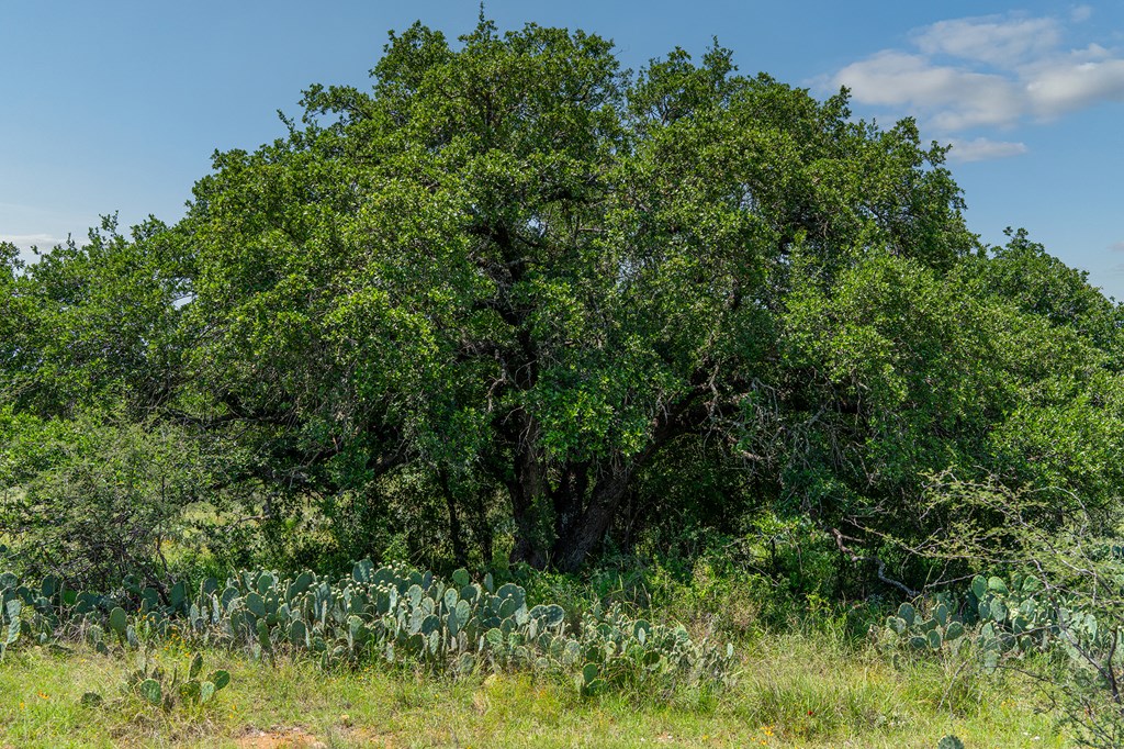 00 S Highway 87 Mason TX 76856