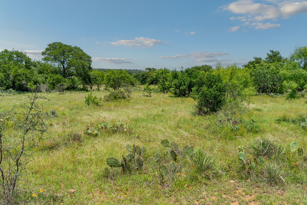 00 S Highway 87 Mason TX 76856