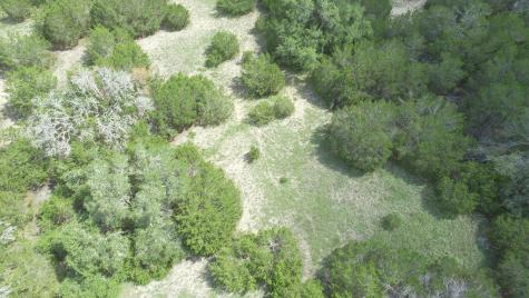 1984 North Grape Creek Road Fredericksburg TX 78624
