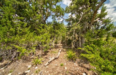 Lot 16 Paloma Ranch Road Mountain Home TX 78058