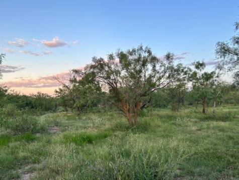 587 Valley Road Eldorado TX 76936