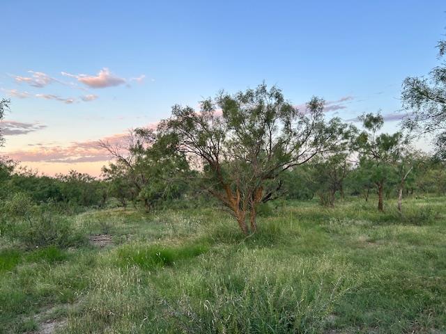 587 Valley Road Eldorado TX 76936