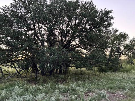 587 Valley Road Eldorado TX 76936