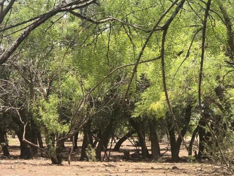 587 Valley Road Eldorado TX 76936