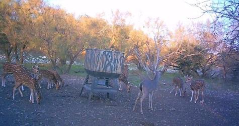 587 Valley Road Eldorado TX 76936