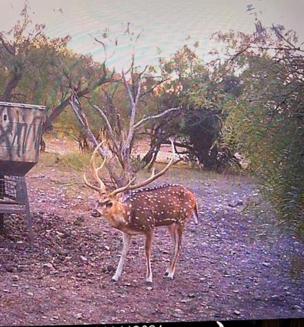 587 Valley Road Eldorado TX 76936
