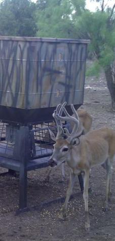 587 Valley Road Eldorado TX 76936