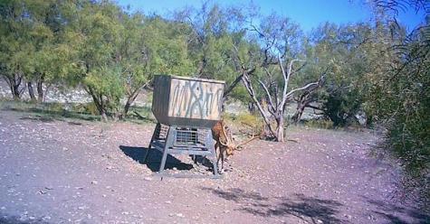 587 Valley Road Eldorado TX 76936