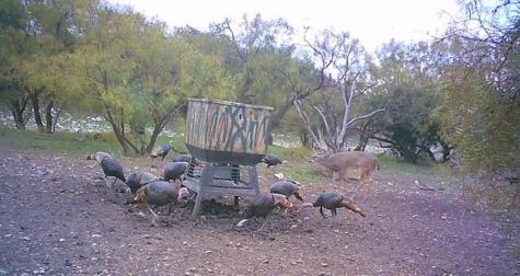 587 Valley Road Eldorado TX 76936