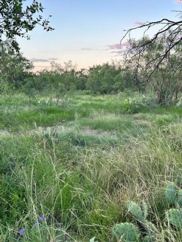 587 Valley Road Eldorado TX 76936
