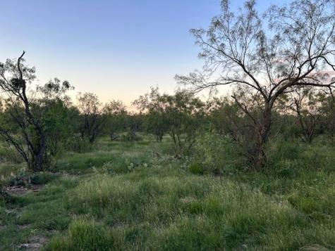 587 Valley Road Eldorado TX 76936